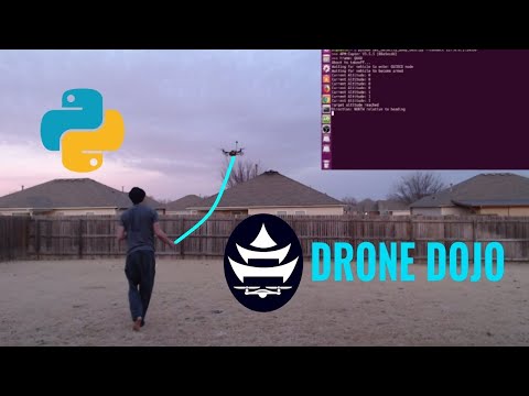 Walking My Raspberry Pi Drone With a Python Script