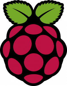 Raspberry Pi Logo